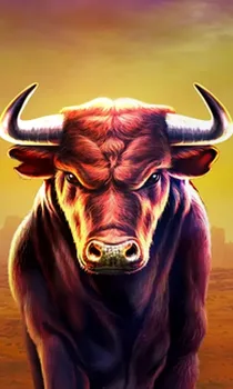 Black Bull